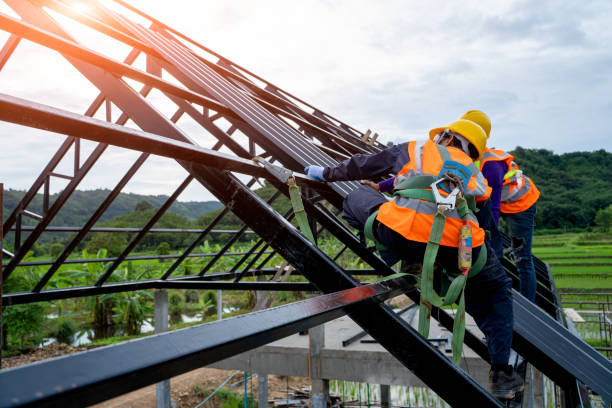 Best Roof Maintenance Services  in Crystal, MN