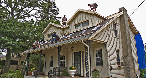 Best Flat Roof Repair Services  in Crystal, MN
